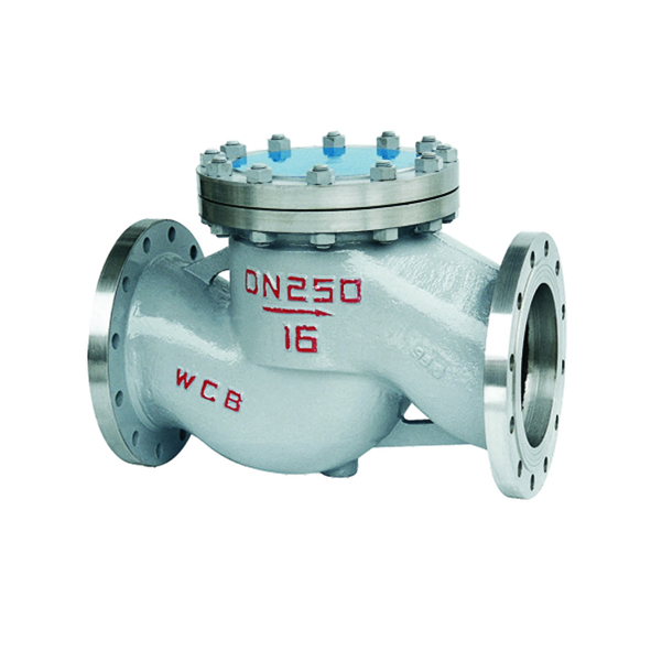 H41H/W/Y升降式止回閥